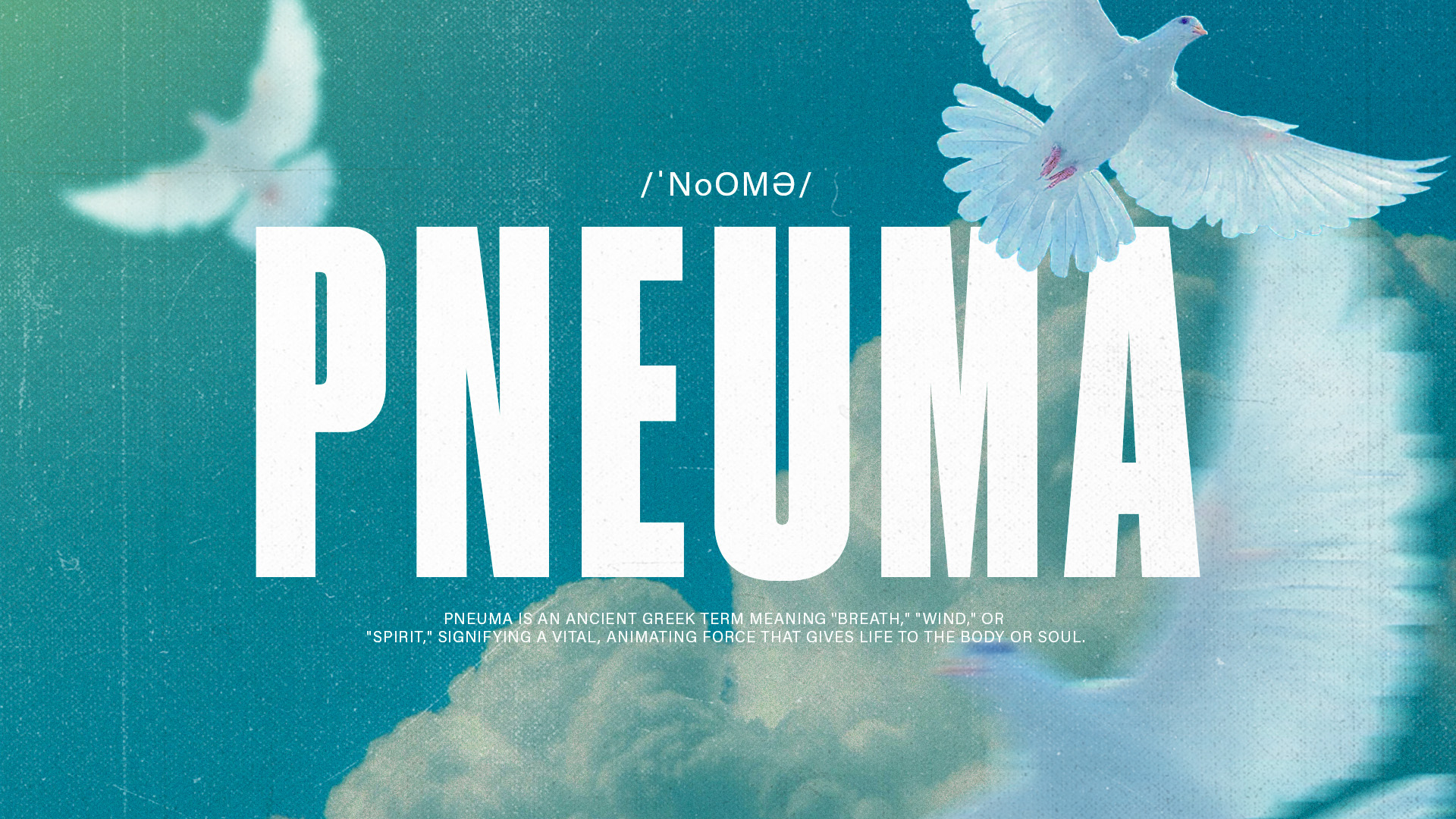 Pneuma Wide