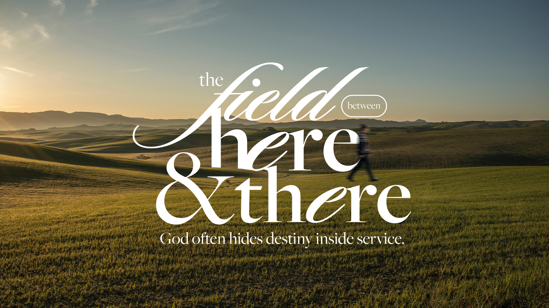 The Field Wide